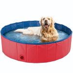 piscina para cachorros